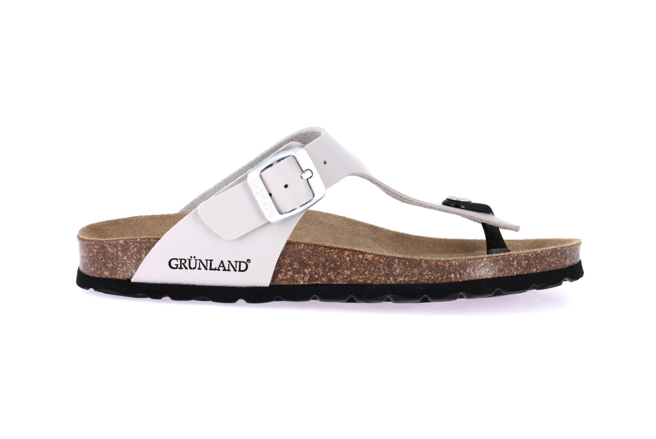 SARA CC4015 SASSO