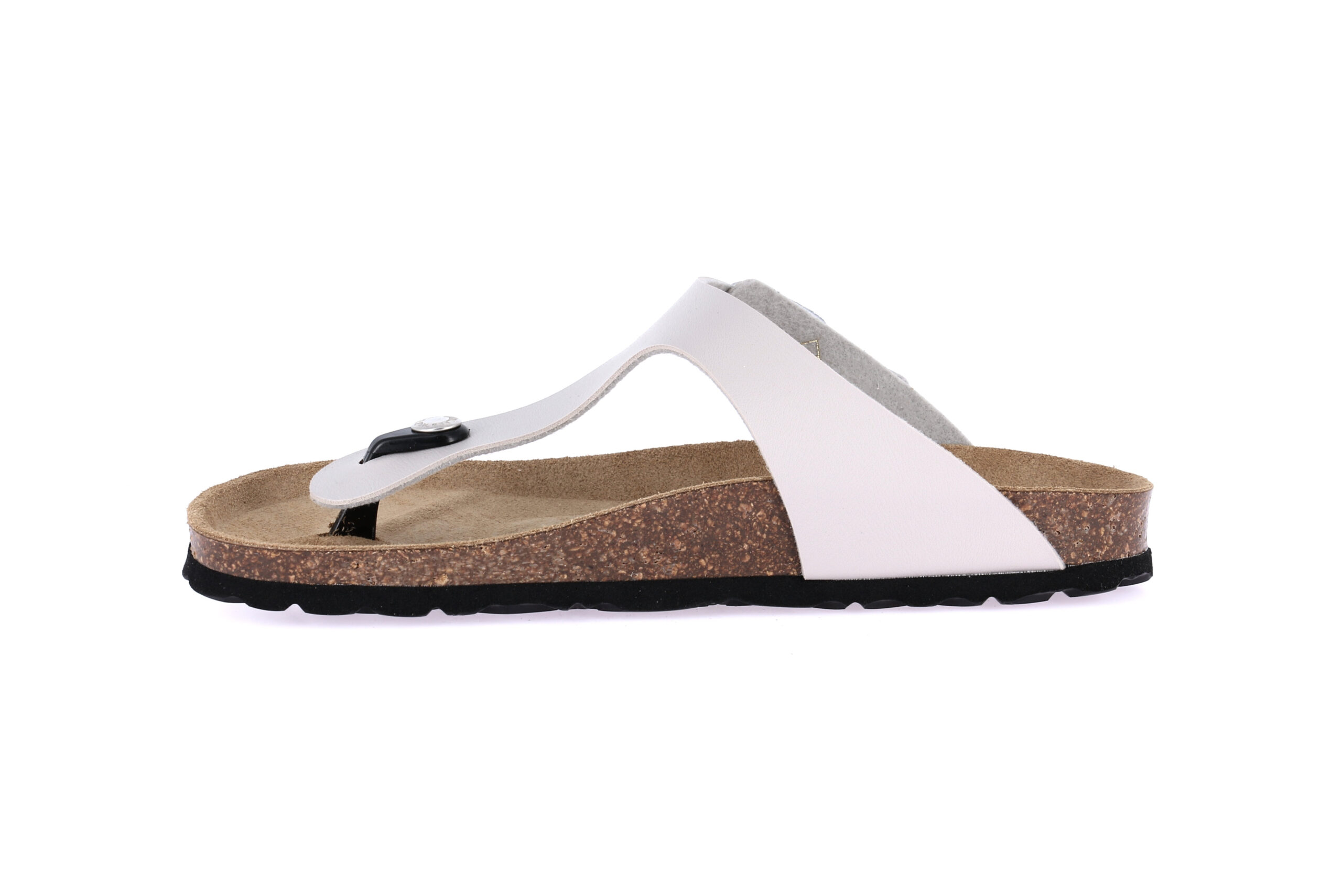 SARA CC4015 SASSO - Image 3