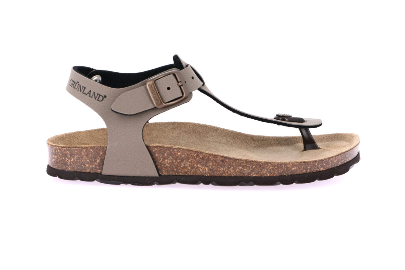 SARA SB0215 TORTORA