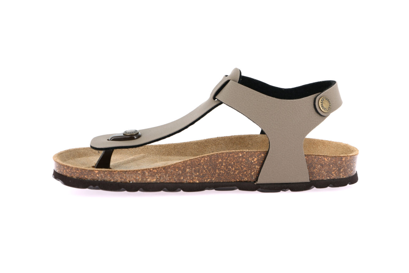 SARA SB0215 TORTORA - Image 3